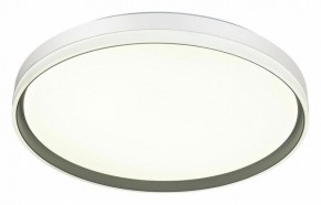 Накладной светильник Sonex Savi 7631/DL в Ишиме - ishim.ok-mebel.com | фото 5
