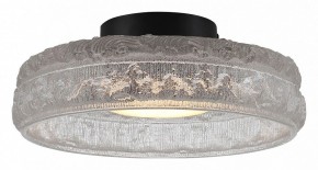 Накладной светильник ST-Luce ANTIKE SL6143.402.01 в Ишиме - ishim.ok-mebel.com | фото 2