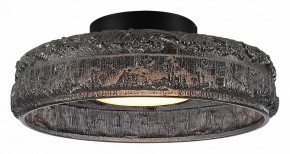 Накладной светильник ST-Luce ANTIKE SL6143.412.01 в Ишиме - ishim.ok-mebel.com | фото 2
