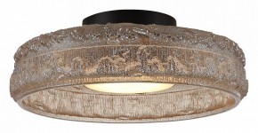 Накладной светильник ST-Luce ANTIKE SL6143.422.01 в Ишиме - ishim.ok-mebel.com | фото 3
