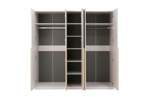 НИКОЛЬ 25 Шкаф 5-ти створчатый в Ишиме - ishim.ok-mebel.com | фото 3