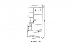 ОЛЬГА-МИЛК Прихожая (модульная) в Ишиме - ishim.ok-mebel.com | фото 2