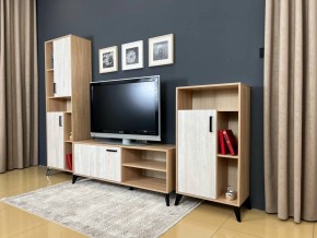 ОСКАР TRIO Гостиная (дуб золотой/сосна белая loft) в Ишиме - ishim.ok-mebel.com | фото 3