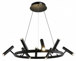 Подвесная люстра Aployt Honor APL.067.03.40 в Ишиме - ishim.ok-mebel.com | фото 2