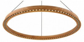 Подвесная люстра Aployt Justyna APL.787.03.75 в Ишиме - ishim.ok-mebel.com | фото