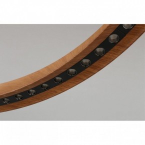 Подвесная люстра Aployt Justyna APL.787.03.75 в Ишиме - ishim.ok-mebel.com | фото 10