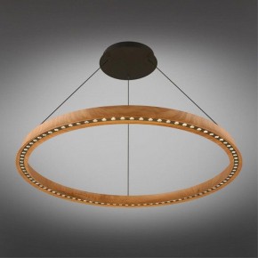 Подвесная люстра Aployt Justyna APL.787.03.75 в Ишиме - ishim.ok-mebel.com | фото 11