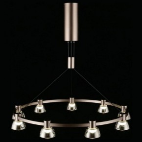 Подвесная люстра Aployt Rezeda APL.788.03.09 в Ишиме - ishim.ok-mebel.com | фото 12