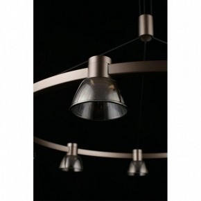 Подвесная люстра Aployt Rezeda APL.788.03.09 в Ишиме - ishim.ok-mebel.com | фото 16