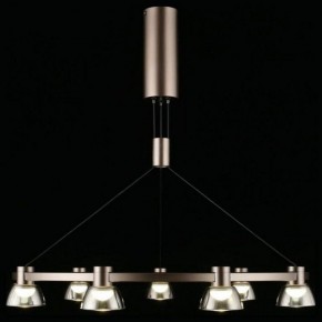 Подвесная люстра Aployt Rezeda APL.788.03.09 в Ишиме - ishim.ok-mebel.com | фото 7