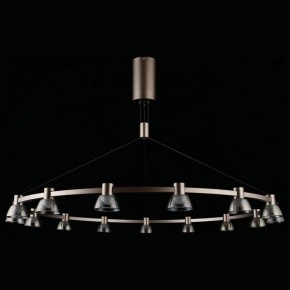 Подвесная люстра Aployt Rezeda APL.788.03.15 в Ишиме - ishim.ok-mebel.com | фото 7