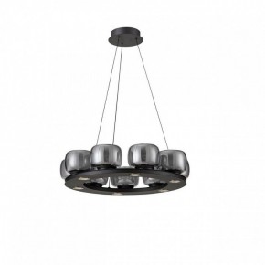 Подвесная люстра Aployt Yudzheni APL.862.03.63 в Ишиме - ishim.ok-mebel.com | фото 2