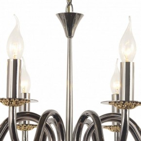 Подвесная люстра Arti Lampadari Pontone Pontone E 1.1.8 PB в Ишиме - ishim.ok-mebel.com | фото 3