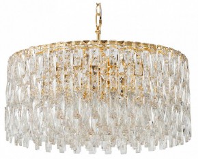 Подвесная люстра Favourite Robby 4722-12P в Ишиме - ishim.ok-mebel.com | фото