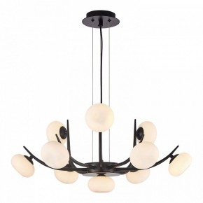 Подвесная люстра Lussole Blubber LSP-8937 в Ишиме - ishim.ok-mebel.com | фото 3