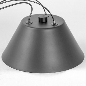 Подвесная люстра Lussole Hopkins LSP-7408 в Ишиме - ishim.ok-mebel.com | фото 7