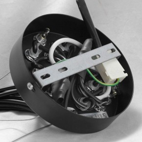 Подвесная люстра Lussole Seneca GRLSP-8177 в Ишиме - ishim.ok-mebel.com | фото 10
