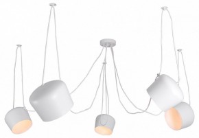 Подвесная люстра Lussole Shirley LSP-8175 в Ишиме - ishim.ok-mebel.com | фото
