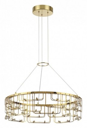 Подвесная люстра Odeon Light ZAHA 7060/44L в Ишиме - ishim.ok-mebel.com | фото 2