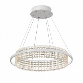 Подвесная люстра Vitaluce V5400 V5400-0/1S в Ишиме - ishim.ok-mebel.com | фото 2