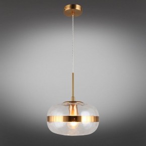 Подвесной светильник Aployt Gabriela APL.305.06.01 в Ишиме - ishim.ok-mebel.com | фото 11