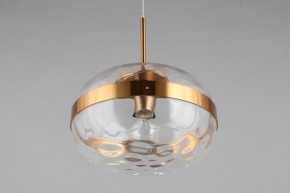 Подвесной светильник Aployt Gabriela APL.305.06.01 в Ишиме - ishim.ok-mebel.com | фото 12