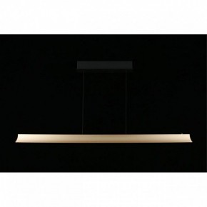 Подвесной светильник Aployt Gercia APL.786.03.38 в Ишиме - ishim.ok-mebel.com | фото 7