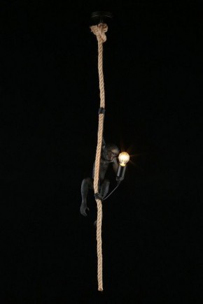 Подвесной светильник Aployt Magali APL.309.16.01 в Ишиме - ishim.ok-mebel.com | фото 3