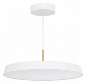 Подвесной светильник Arlight ELEGANT 033924(1) в Ишиме - ishim.ok-mebel.com | фото 2