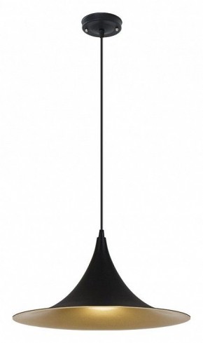 Подвесной светильник Arte Lamp Carmel A7080SP-1BK в Ишиме - ishim.ok-mebel.com | фото 2