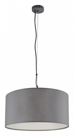 Подвесной светильник Arte Lamp Coppa A4095SP-3GY в Ишиме - ishim.ok-mebel.com | фото 2