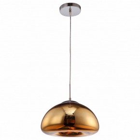 Подвесной светильник Arte Lamp Swift A8041SP-1GO в Ишиме - ishim.ok-mebel.com | фото 2