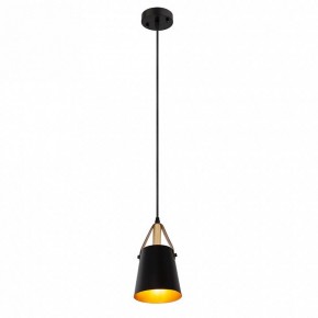 Подвесной светильник Arte Lamp Thomas A7032SP-1BK в Ишиме - ishim.ok-mebel.com | фото 3