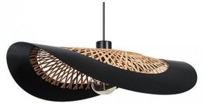Подвесной светильник Arte Lamp Woodstock A7059SP-1BK в Ишиме - ishim.ok-mebel.com | фото