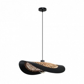 Подвесной светильник Arte Lamp Woodstock A7059SP-1BK в Ишиме - ishim.ok-mebel.com | фото 2