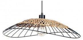 Подвесной светильник Arte Lamp Woodstock A7061SP-1BK в Ишиме - ishim.ok-mebel.com | фото