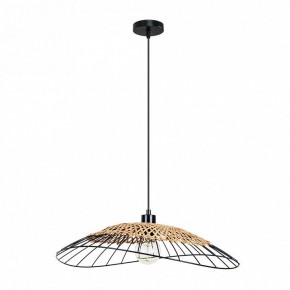 Подвесной светильник Arte Lamp Woodstock A7061SP-1BK в Ишиме - ishim.ok-mebel.com | фото 2