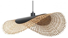 Подвесной светильник Arte Lamp Woodstock A7063SP-1BK в Ишиме - ishim.ok-mebel.com | фото