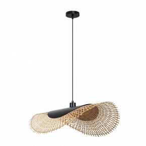 Подвесной светильник Arte Lamp Woodstock A7063SP-1BK в Ишиме - ishim.ok-mebel.com | фото 2