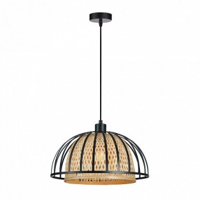 Подвесной светильник Arte Lamp Woodstock A7071SP-1BK в Ишиме - ishim.ok-mebel.com | фото