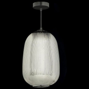 Подвесной светильник Arti Lampadari Maggano Maggano E 1.P2 S в Ишиме - ishim.ok-mebel.com | фото 3
