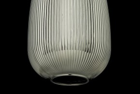 Подвесной светильник Arti Lampadari Maggano Maggano E 1.P2 S в Ишиме - ishim.ok-mebel.com | фото 4