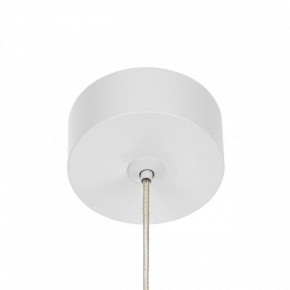 Подвесной светильник Citilux Bruno CL565010 в Ишиме - ishim.ok-mebel.com | фото 5