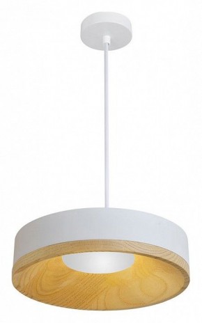 Подвесной светильник Divinare Vaso 5119/33 SP-8 в Ишиме - ishim.ok-mebel.com | фото 2
