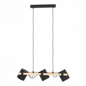 Подвесной светильник Eglo HORNWOOD 43517 в Ишиме - ishim.ok-mebel.com | фото 2