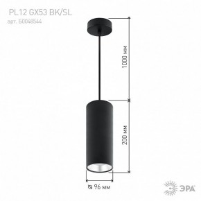 Подвесной светильник Эра  PL12 GX53 BK/SL в Ишиме - ishim.ok-mebel.com | фото 8