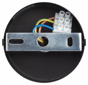 Подвесной светильник Эра  PL12 GX53 BK/SL в Ишиме - ishim.ok-mebel.com | фото 9