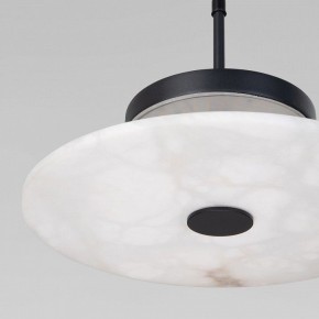 Подвесной светильник Eurosvet Thasos 40342 LED черный в Ишиме - ishim.ok-mebel.com | фото 8