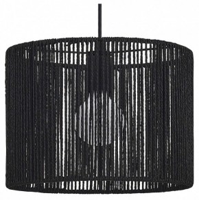 Подвесной светильник EVOLUCE ETTAN SLE6024-403-01 в Ишиме - ishim.ok-mebel.com | фото