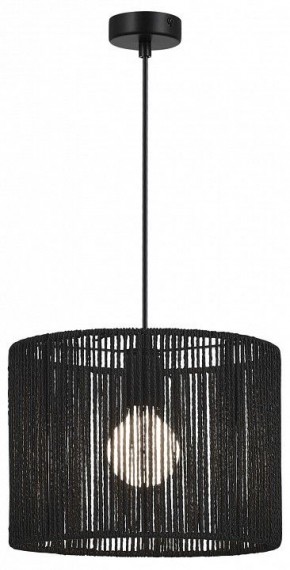 Подвесной светильник EVOLUCE ETTAN SLE6024-403-01 в Ишиме - ishim.ok-mebel.com | фото 2